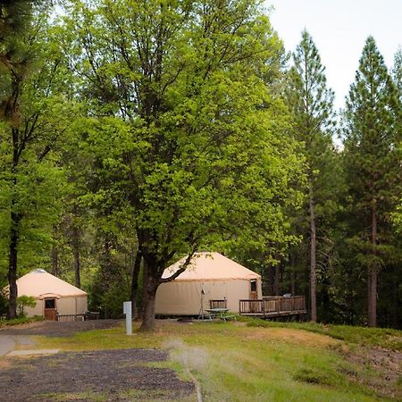 Yosemite Lakes Hillside Yurt 7 Hotel Harden Flat Esterno foto