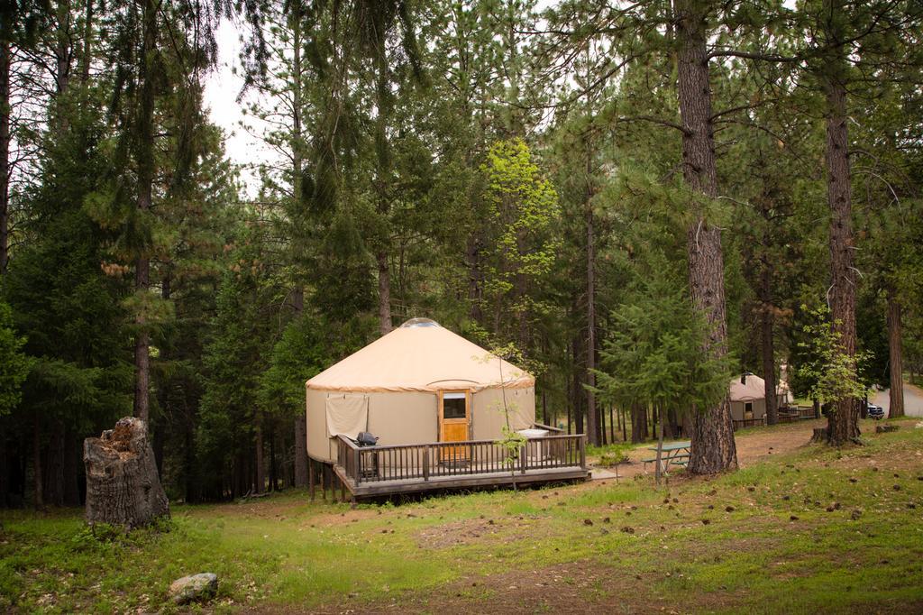 Yosemite Lakes Hillside Yurt 7 Hotel Harden Flat Esterno foto