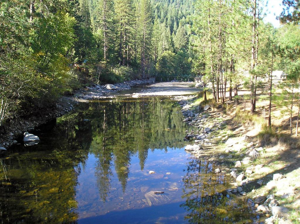 Yosemite Lakes Hillside Yurt 7 Hotel Harden Flat Esterno foto