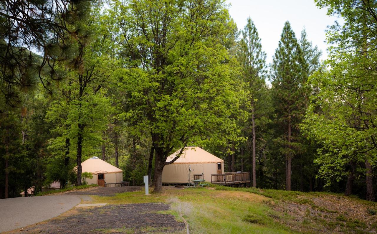 Yosemite Lakes Hillside Yurt 7 Hotel Harden Flat Esterno foto